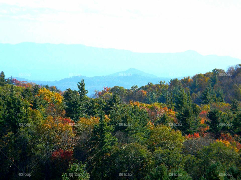 North Carolina mountains. Linn Cove Viaduct