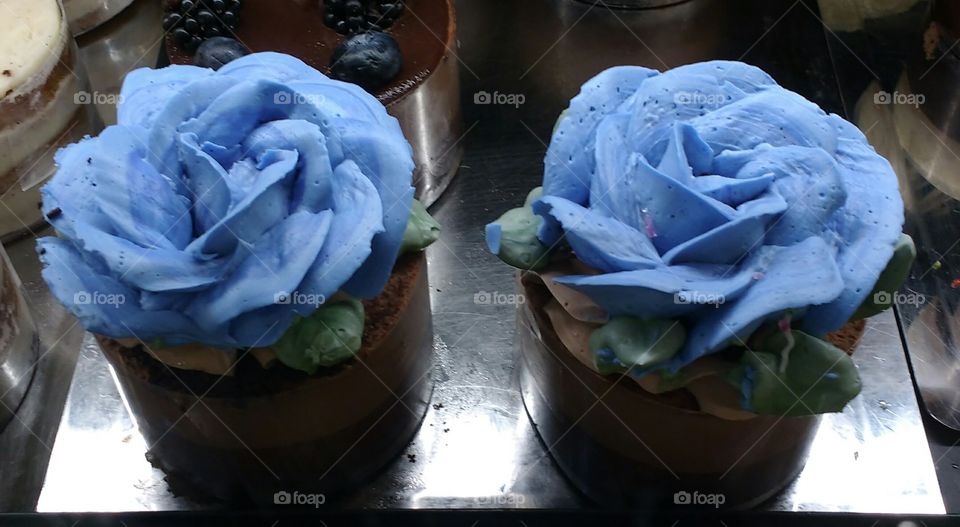 Two Beautiful Blue Cupcakes
