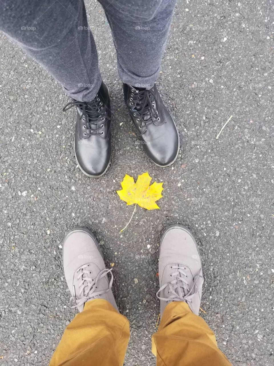 Fall