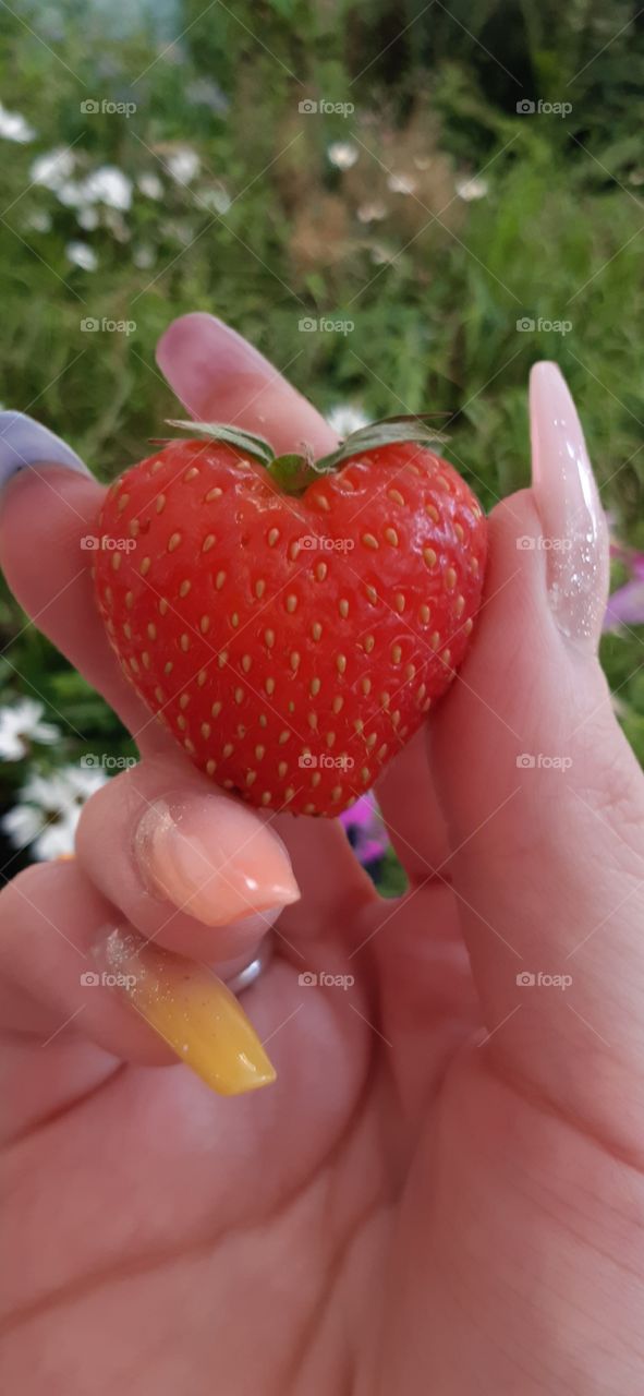 Strawberries are always pretty but a strawberry that is shaped as a ♡ is beautiful 🤩