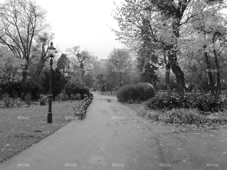 Black and white park in Vienna 