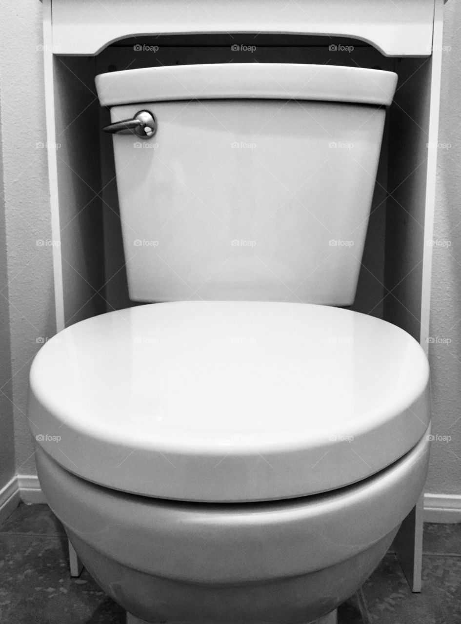 New toilet black & white