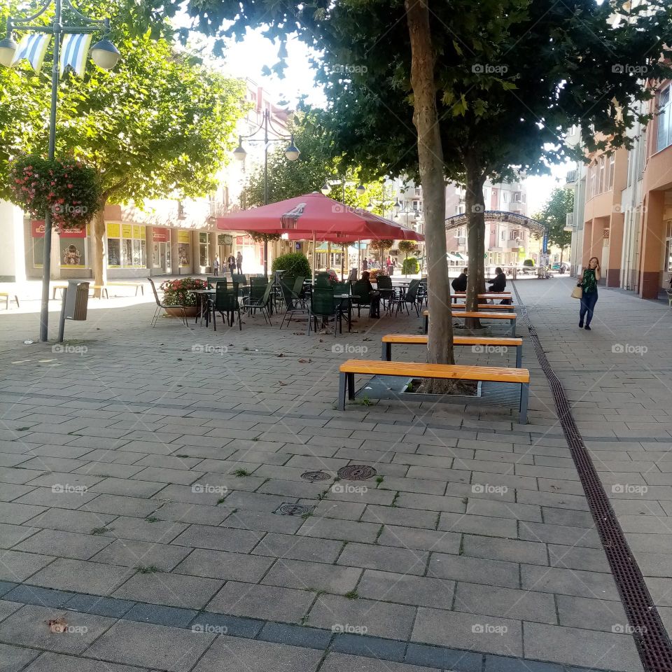 Urban Series: Plants