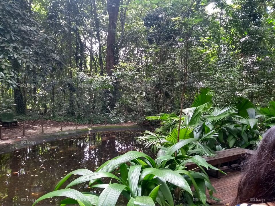 Jardim botânico