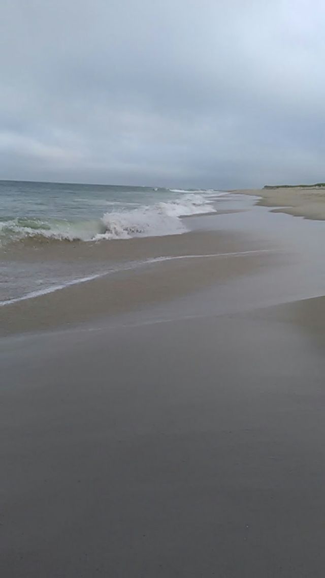 Sit back, relax and just wave. Cape Cod