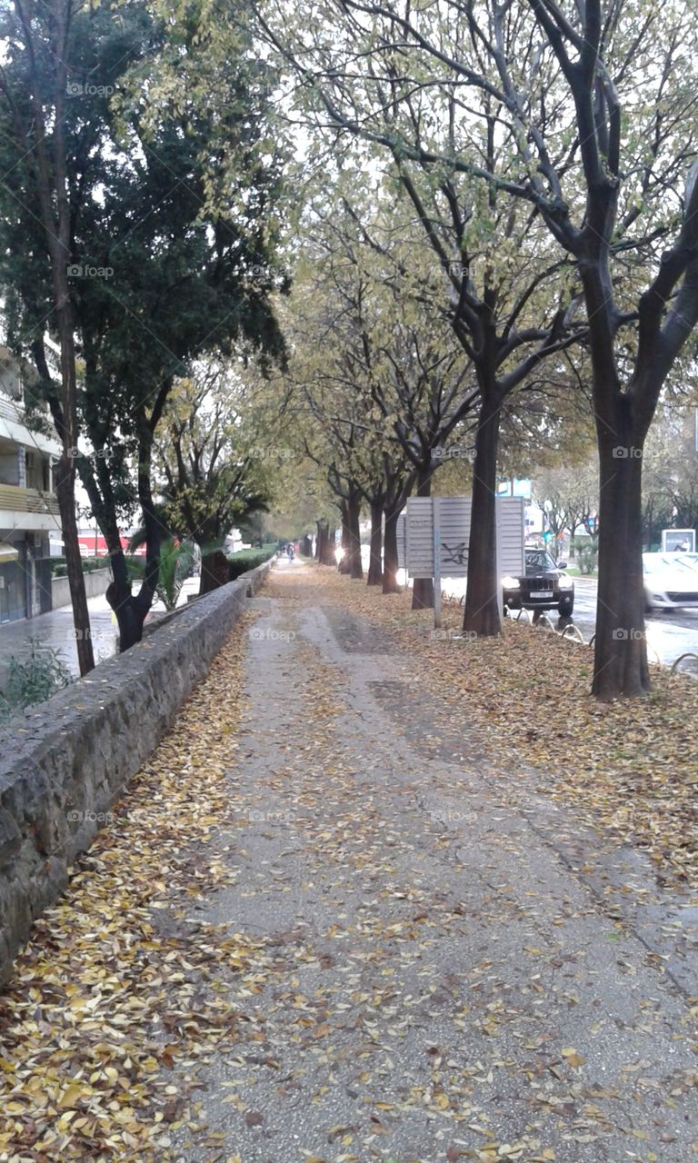 Autumn in my favorite street #1