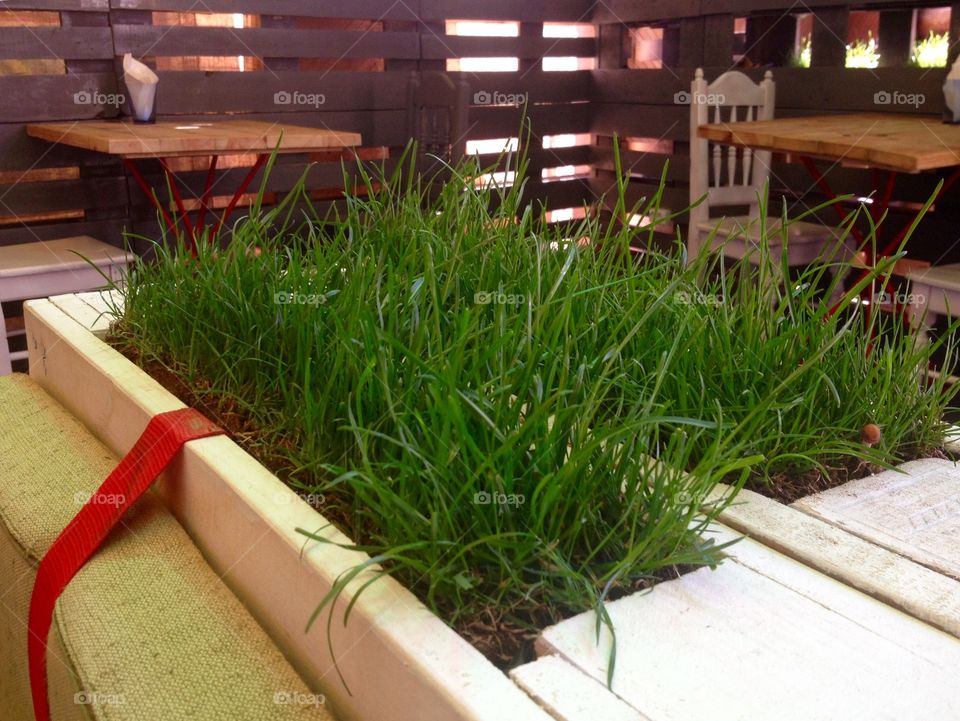 Grass decorations in a restaurant