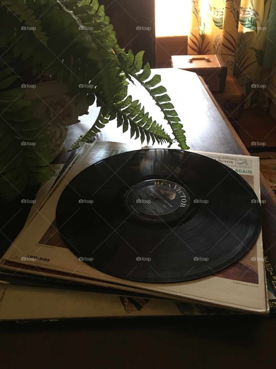 Sunlight and vinyl