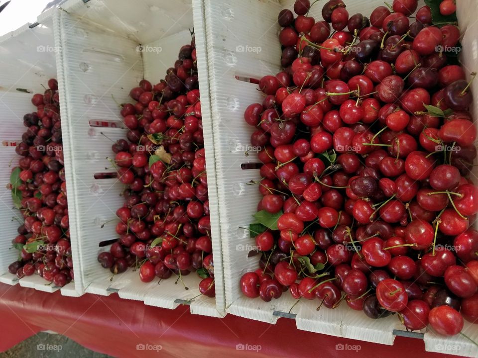 cherries fresh bucket