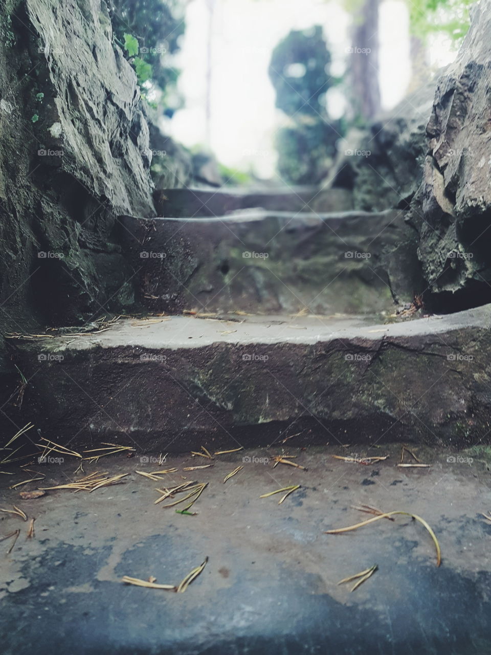 steps in garden