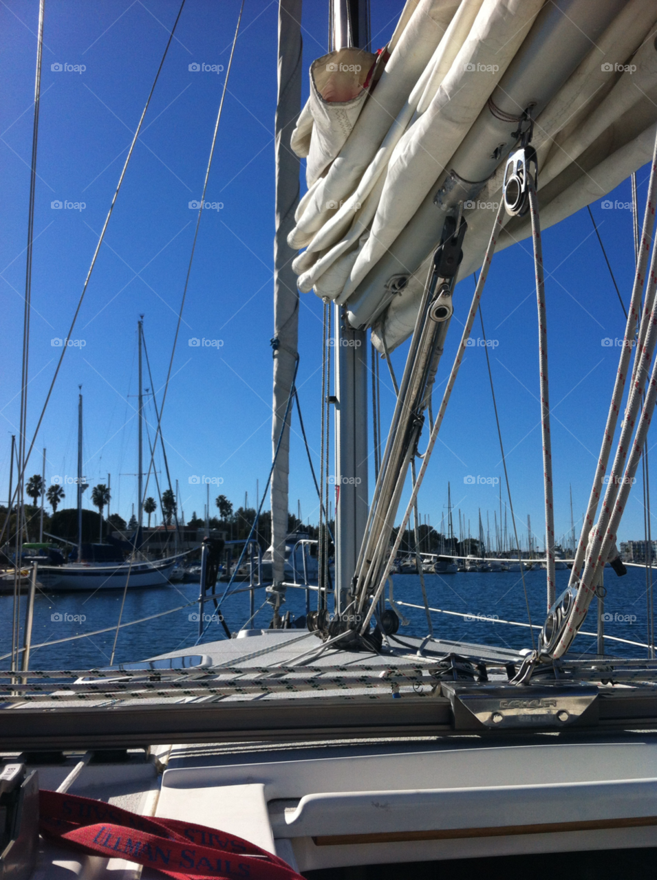 marina del rey blue boat sail by daflux
