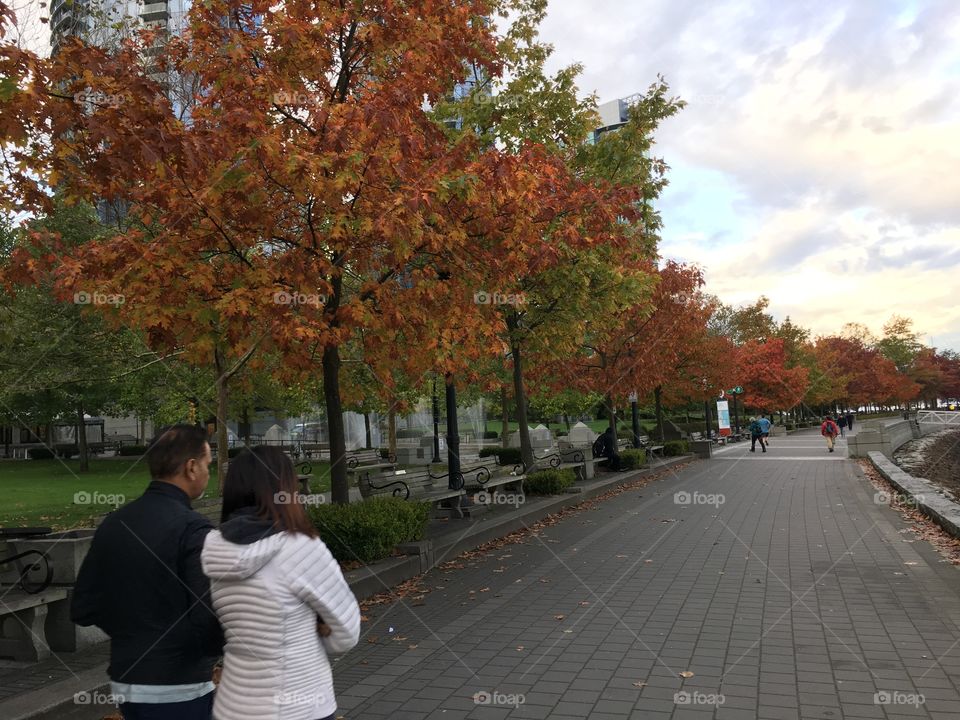 Autumn in the city