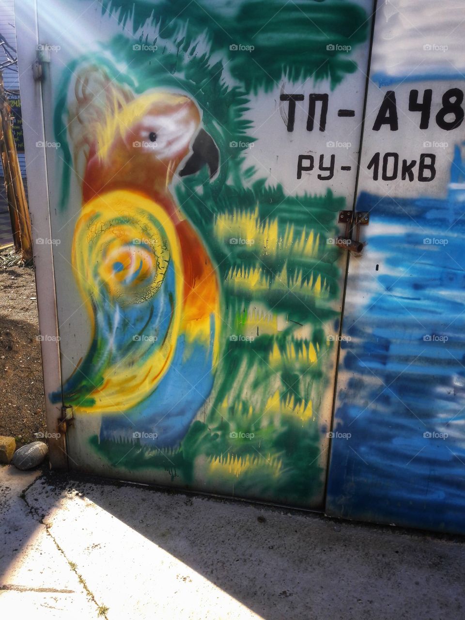 nature outdoor view spring summer