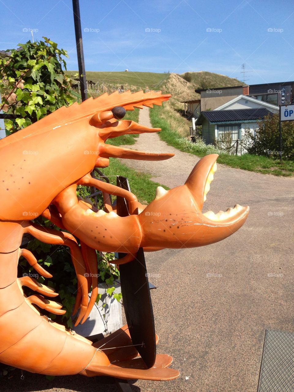 Dinner in a Restaurant 