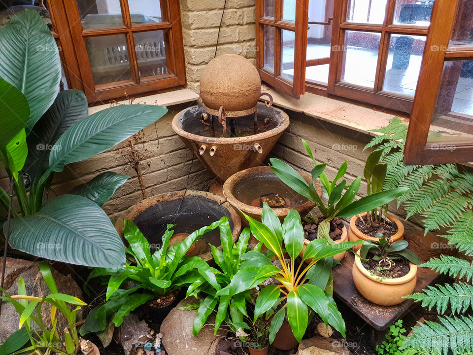garden inside home