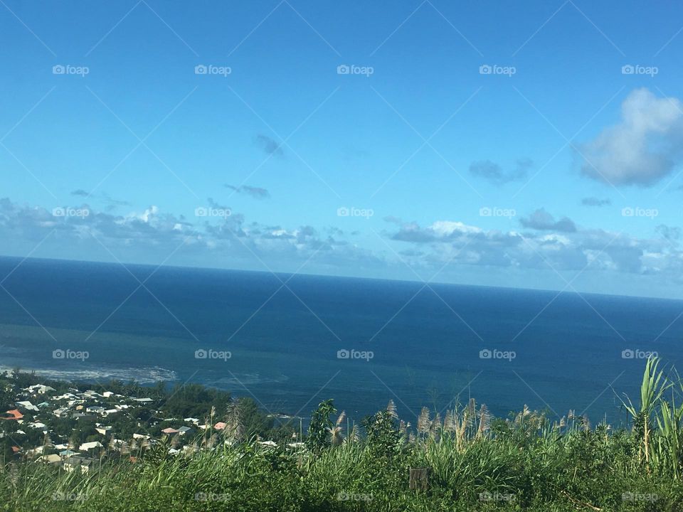 Vous avez dit sud sauvage ? C’est plutôt calme 