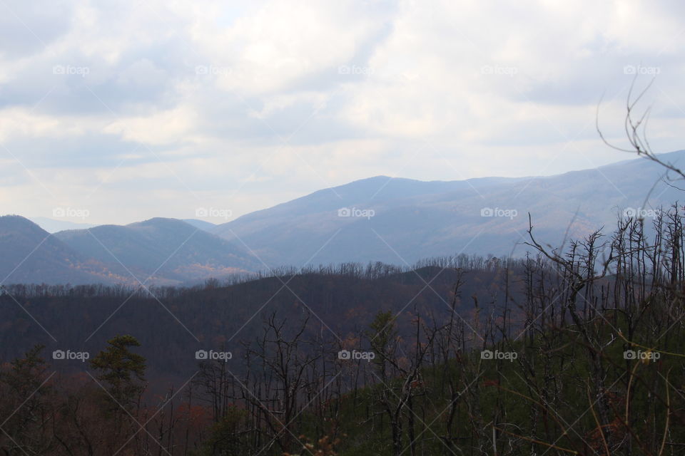 Great Smoky Mountains 