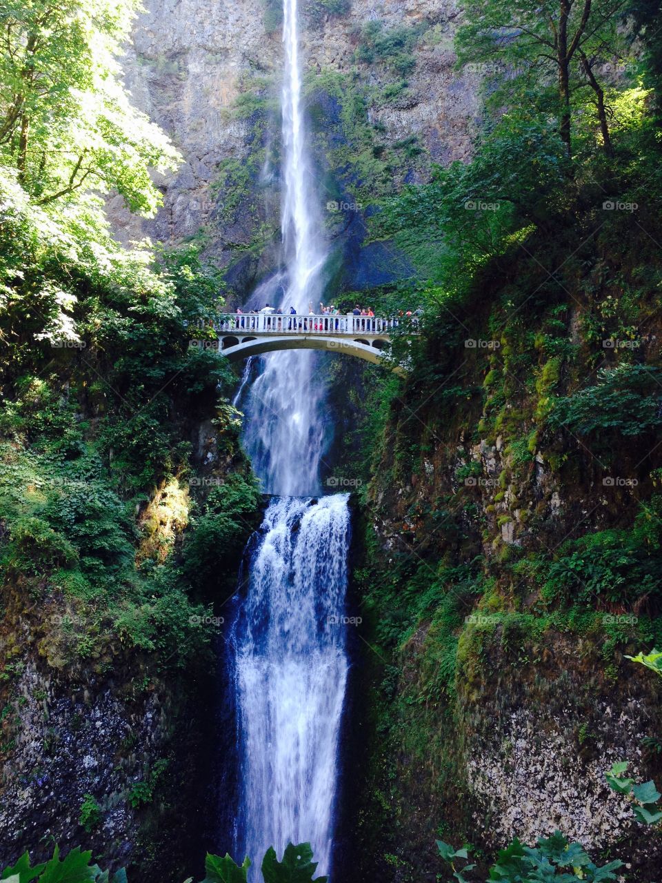 Multnomah falls, Oregon