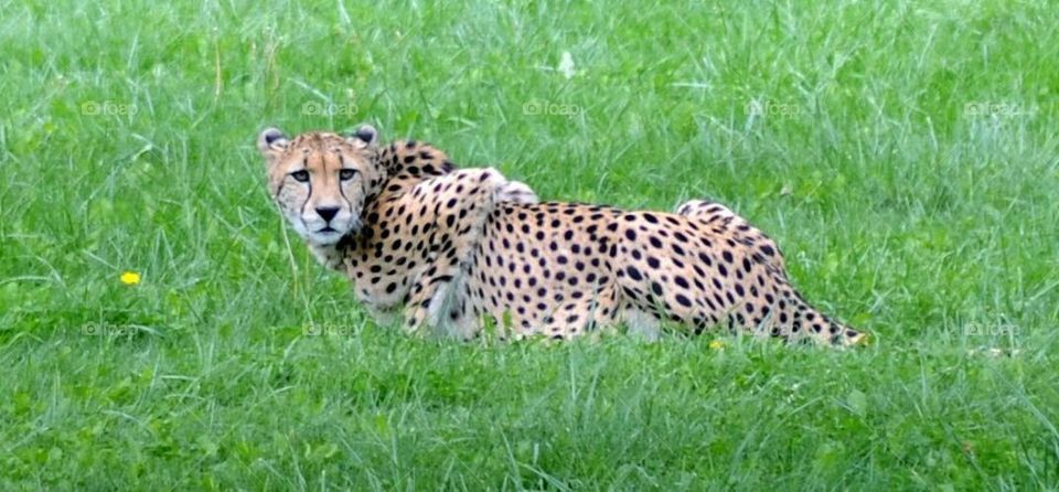 The Toronto Zoo, Toronto, Ontario, Canada