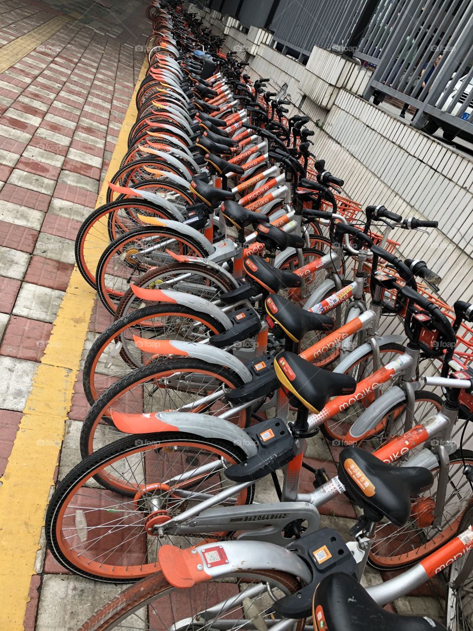 Bike, Wheel, Street, City, Urban