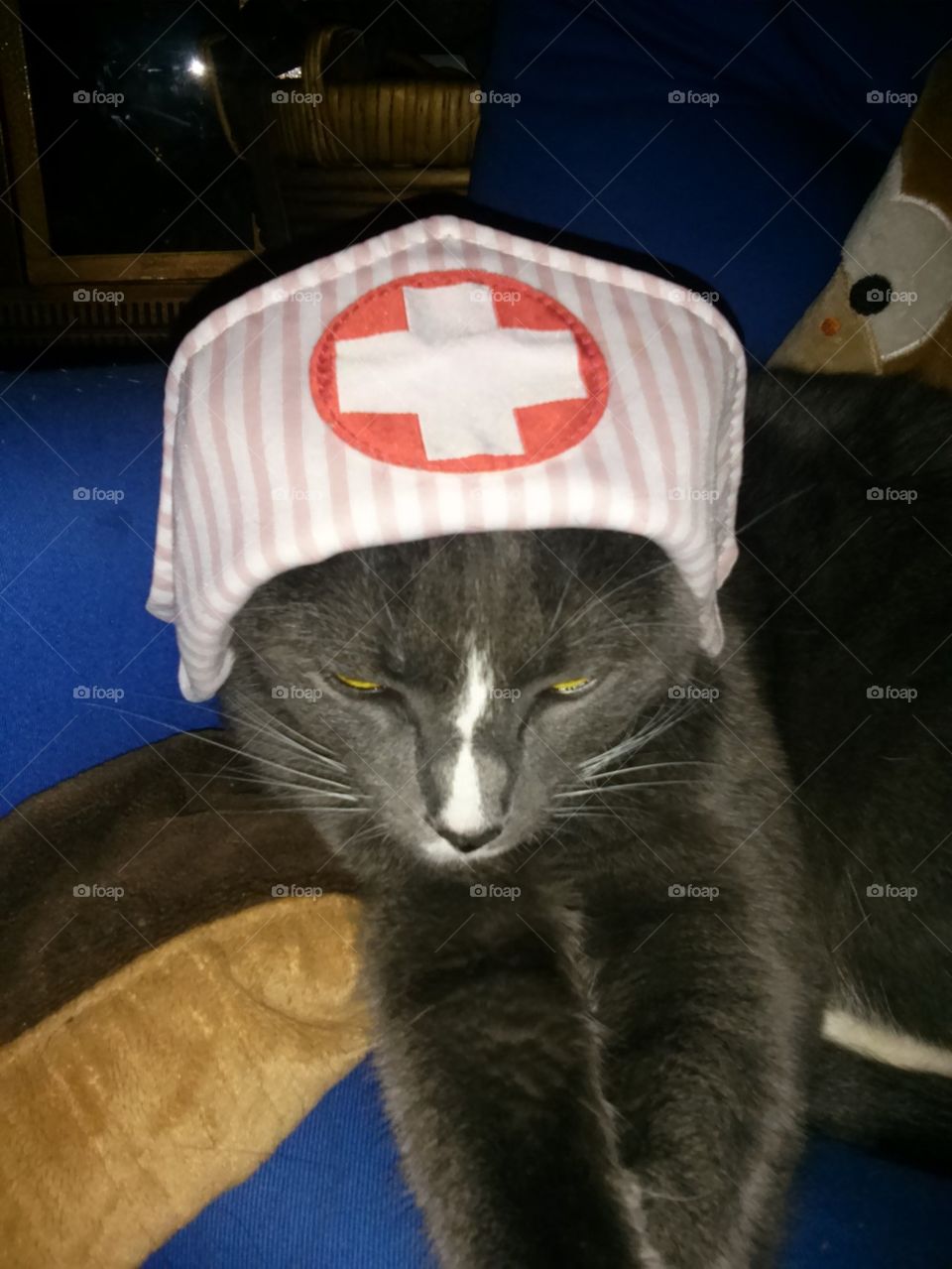 Nurse Sasha