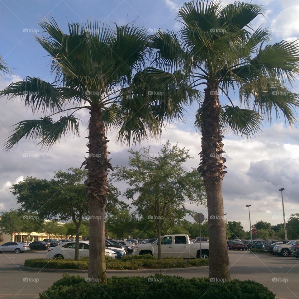 another day in paradise