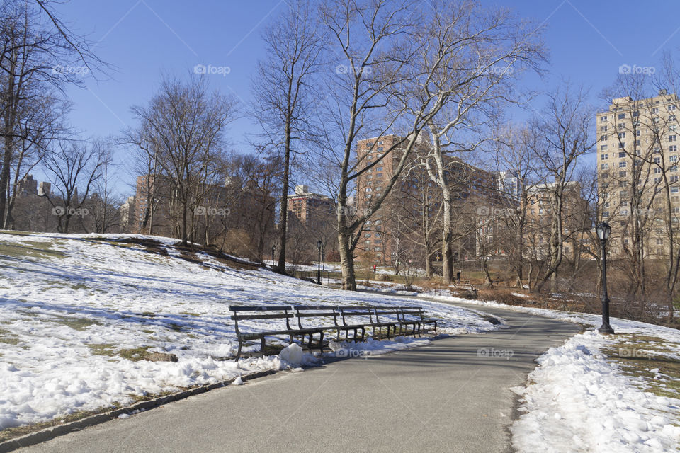 Central Park, New York City, USA.