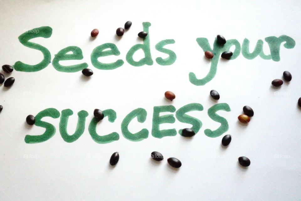 Cheerful message @ seeds your success