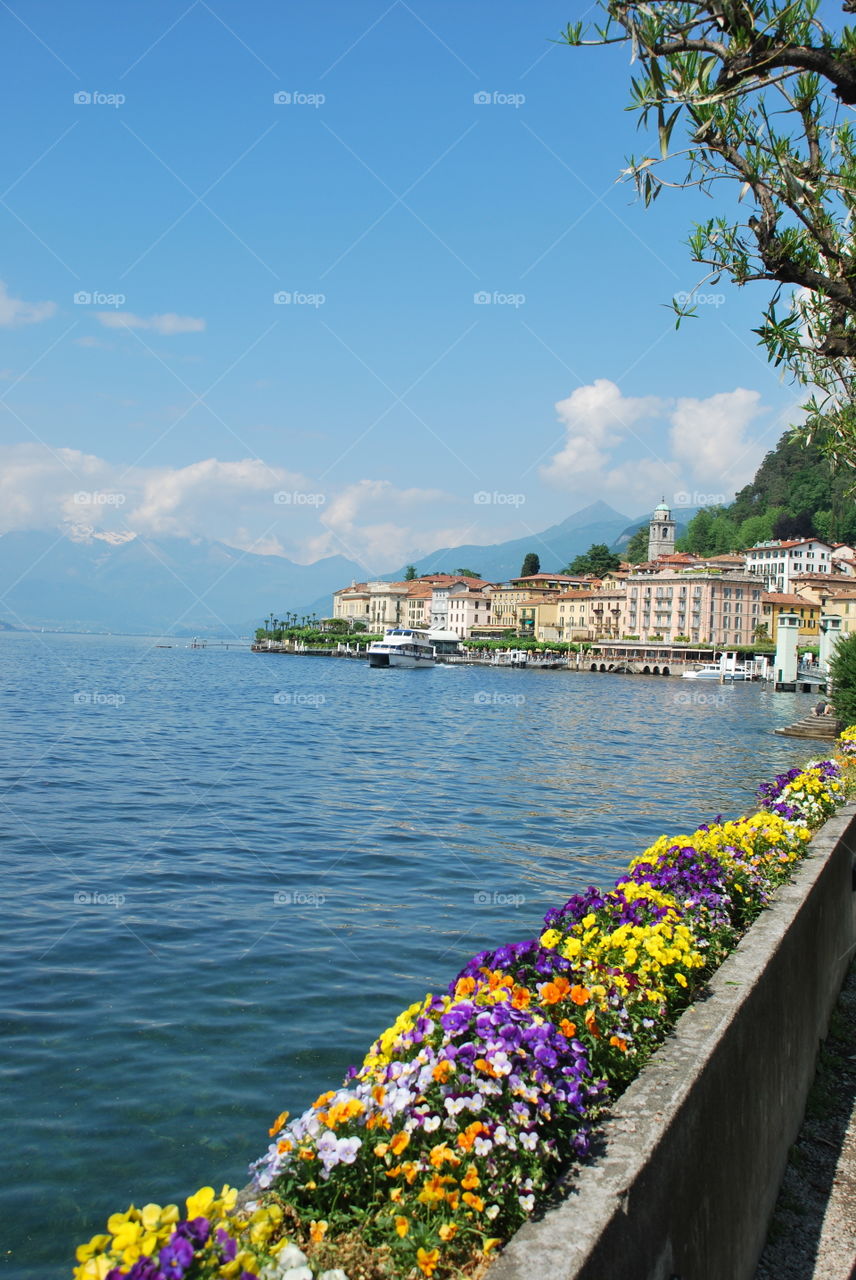 Bellagio flower boxes. Colorful flowers line the banks of Lake Como in Italy 