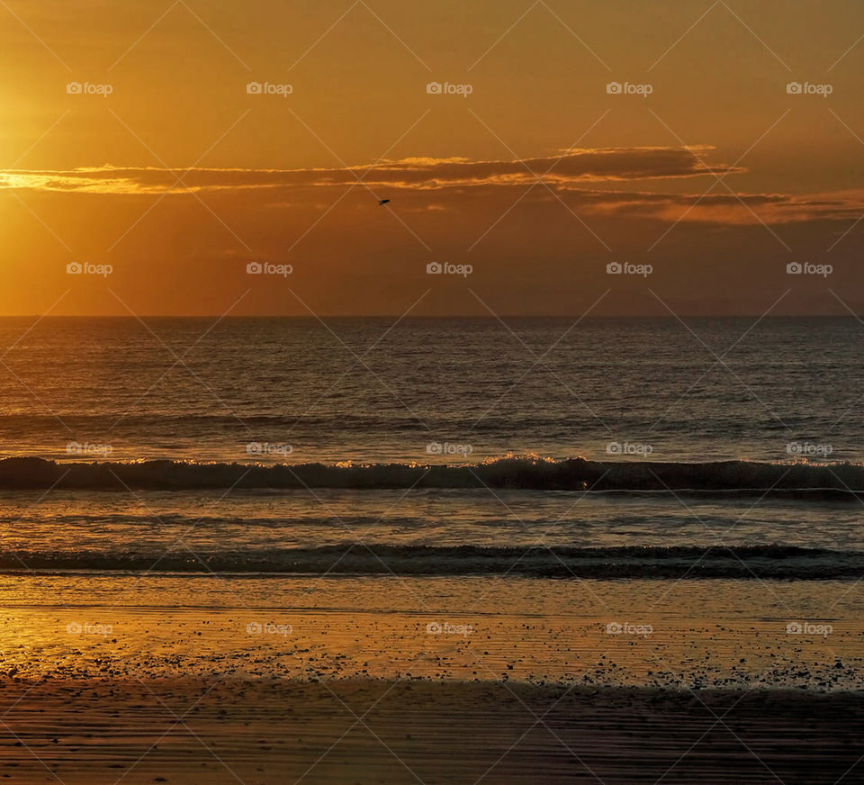 Travel around the world