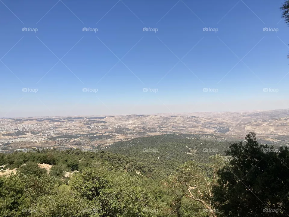 Great View 