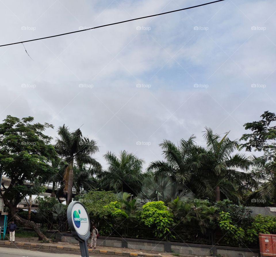 City space mode
Click
Snap📷👁️📷👁️
Park
Green Beauty
Cloudy Sky💭
Outdoor
Pleasant Weather💭🗨️🗨️
Flora 🌿🌴🍀☘️🌱