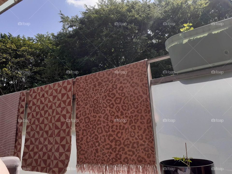 life begins on the terrace