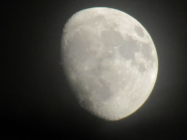 Harvest moon 