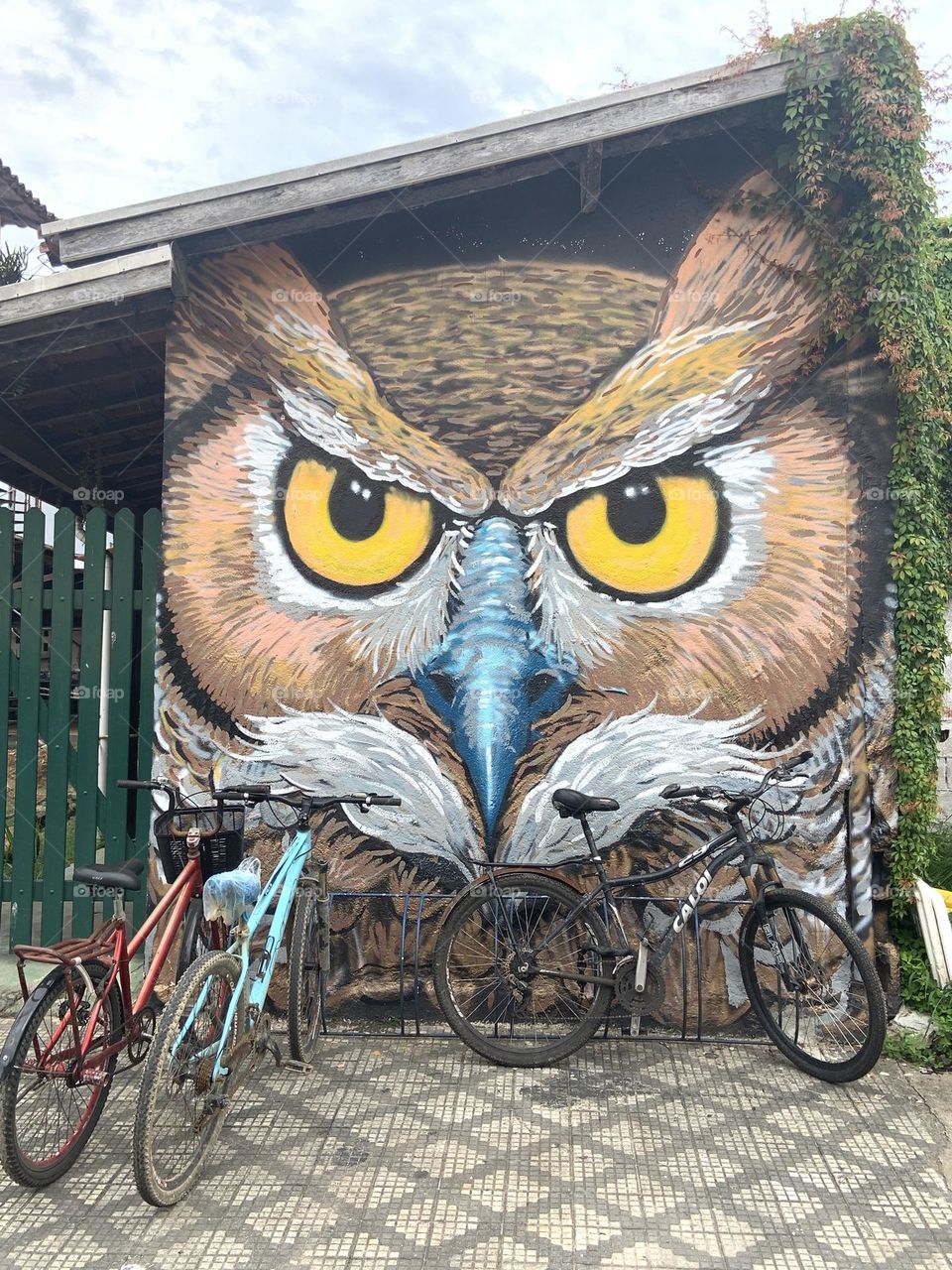 Owl and bicycles 