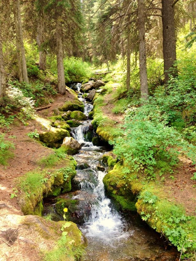 nature