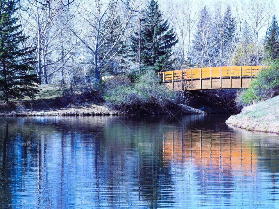 Calm morning In Red Deer