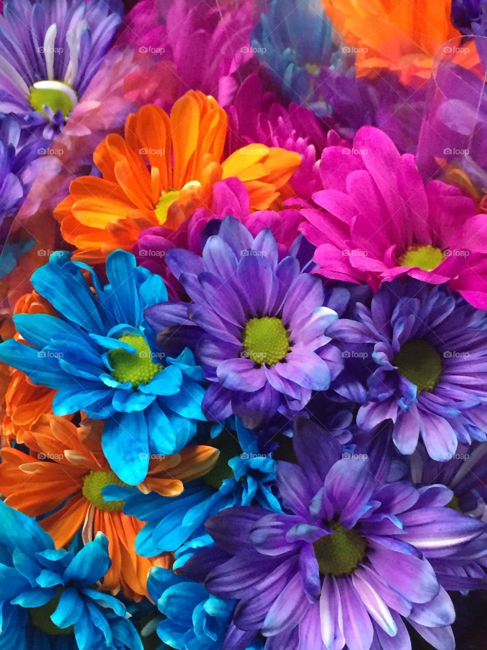 Bright flowers