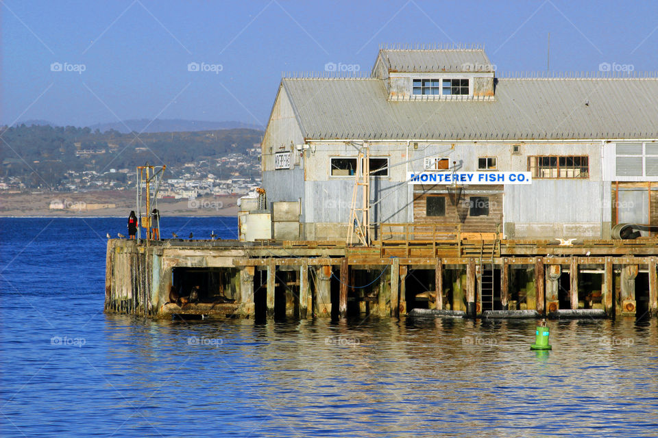 Fish processing warf and pier in California 