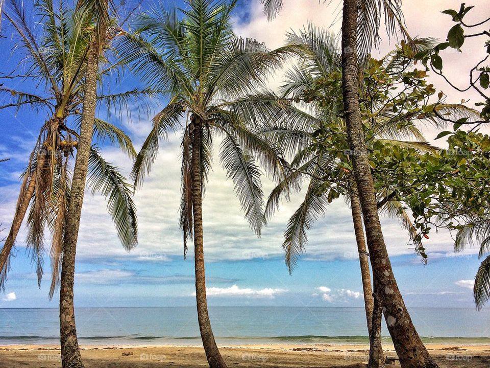 View of beach