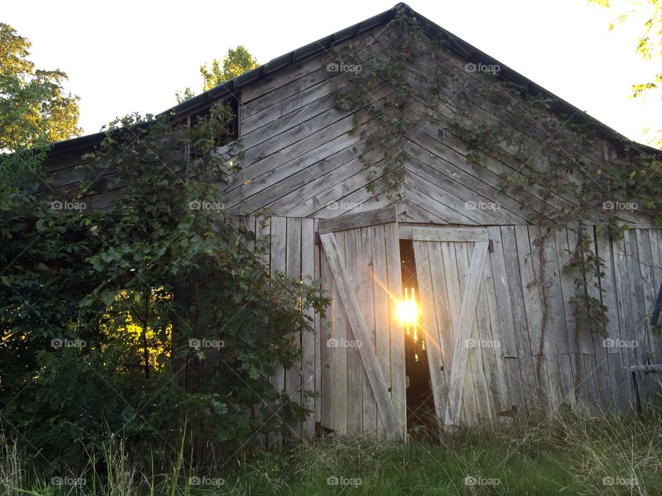 Captured on the family farm outside Houston, Missouri. 