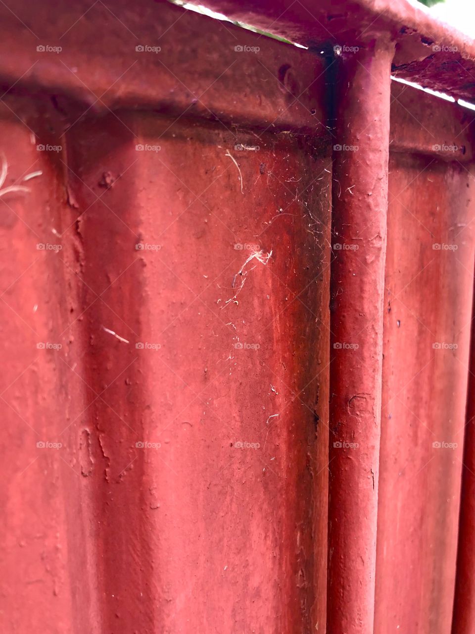 Teia de aranha no portão 