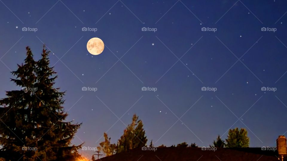 moon lit night sky