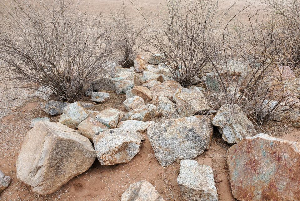 Rocks and Dry Brush in Desert