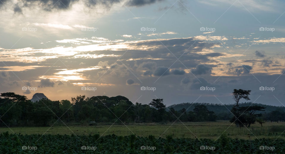 landscape sky field sunset by vidu