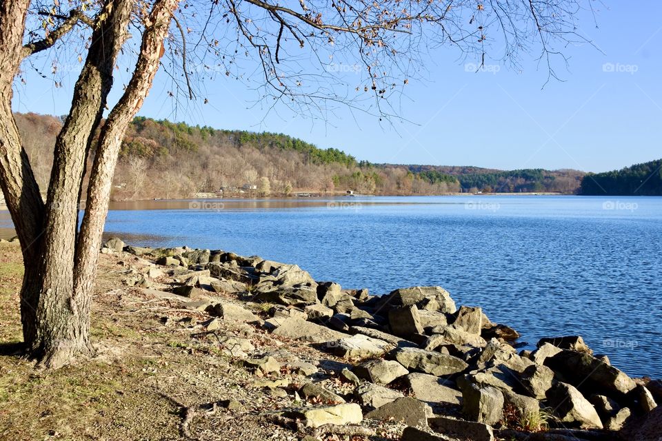 Scenic landscape with a tree and big rocks by a lake with a clear blue sky