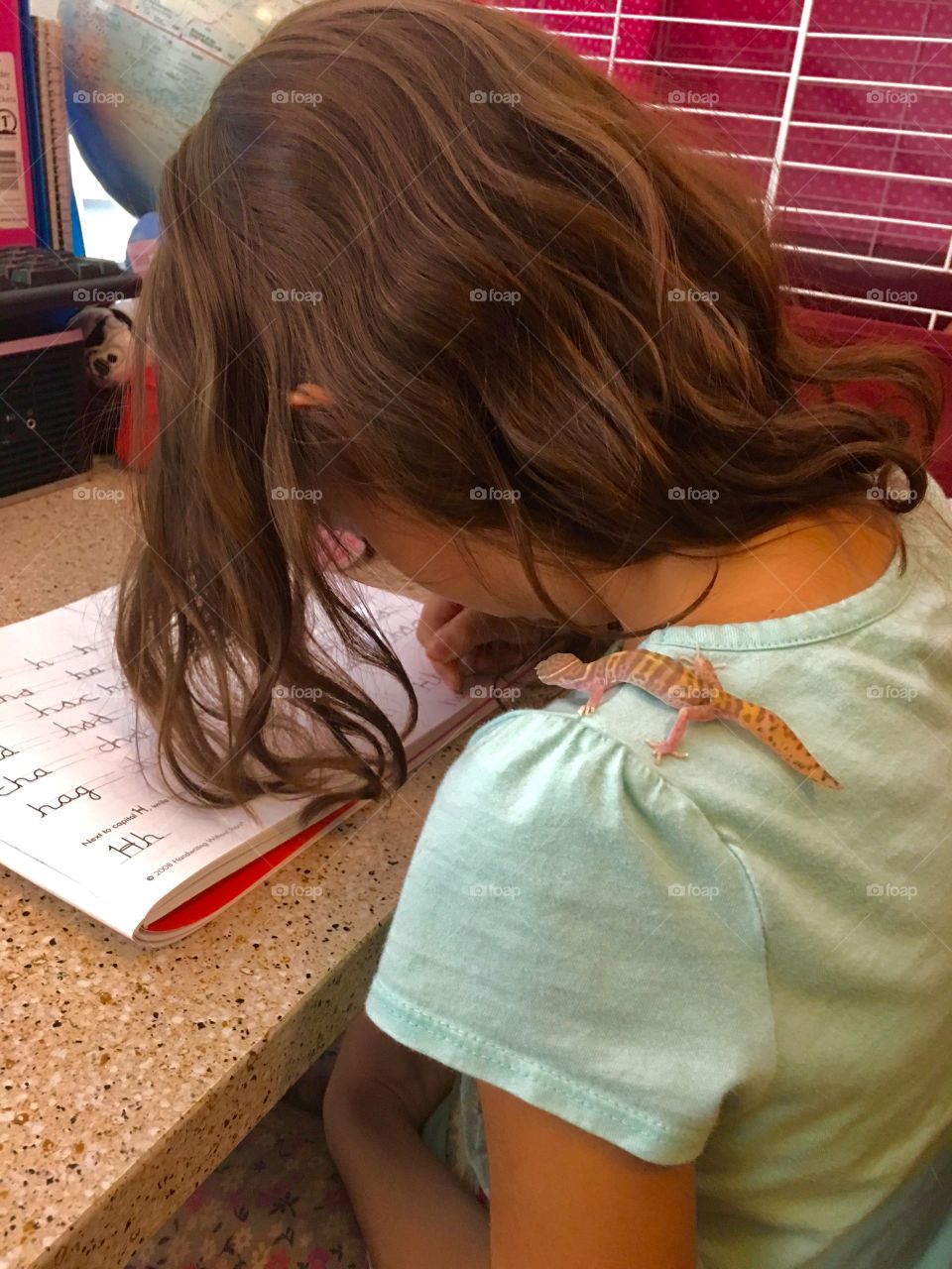 Western banded gecko sitting on little girls' shoulder, while she practices cursive writing