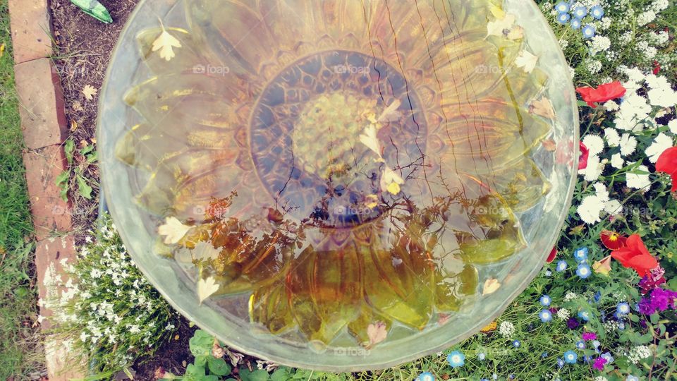 Birdbath