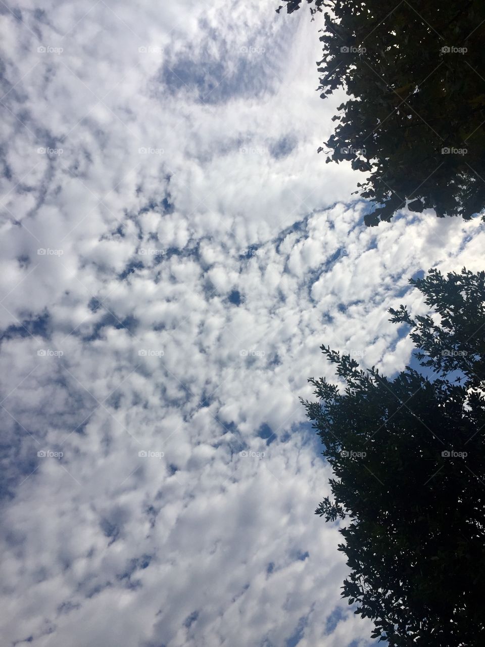 Sky and clouds
