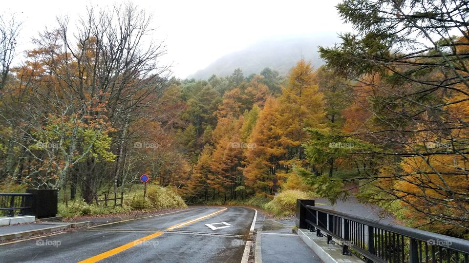 Fall roads